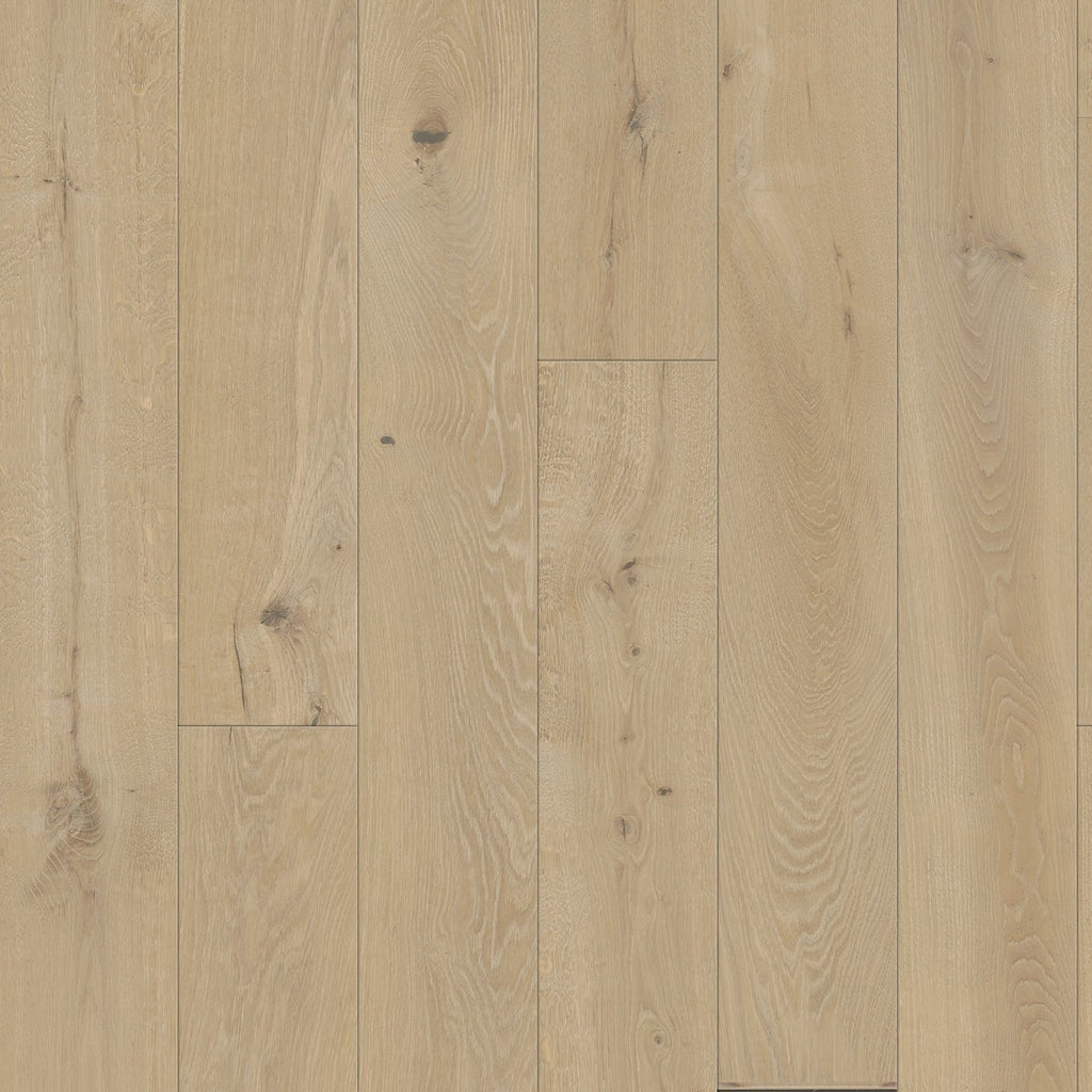 Atelier Collection - Alpenglow