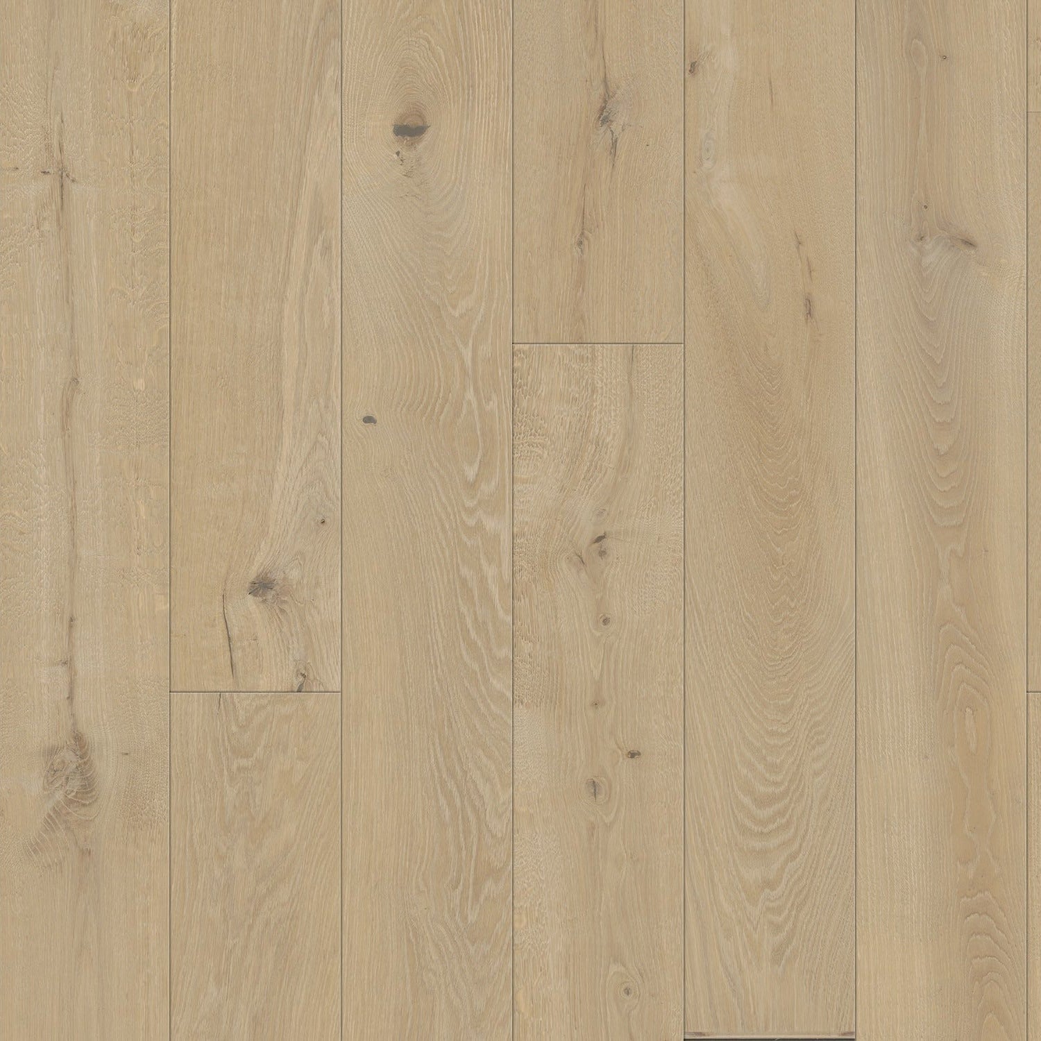 Atelier Collection - Alpenglow