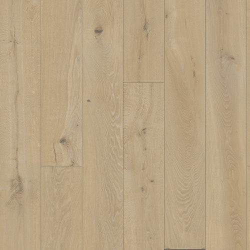 Atelier Collection - Alpenglow