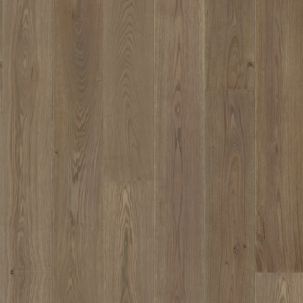 Societe Collection - Nouv