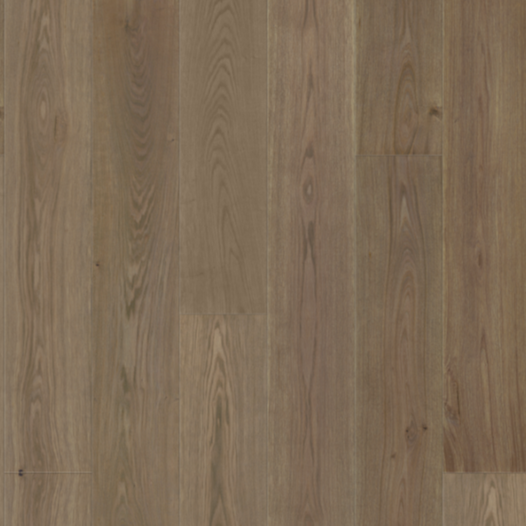 Societe Collection - Nouv