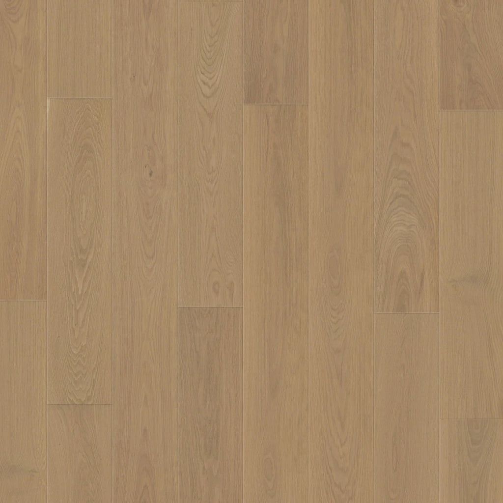 Close-up of Duchateau Vernal Collection Alpe Foppa color