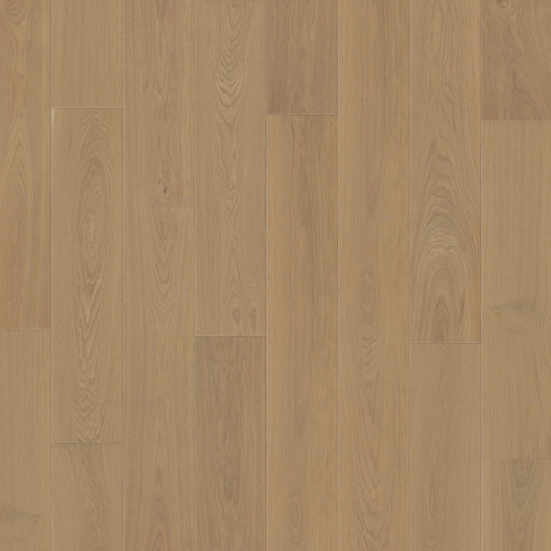 Close-up of Duchateau Vernal Collection Alpe Foppa color