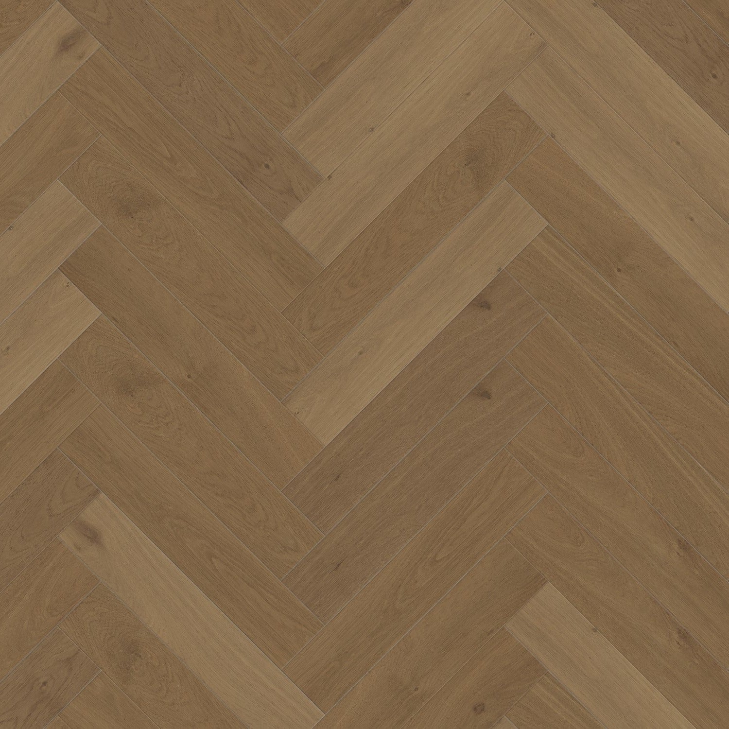 Terra Collection - Alpine (Plank & Herringbone)