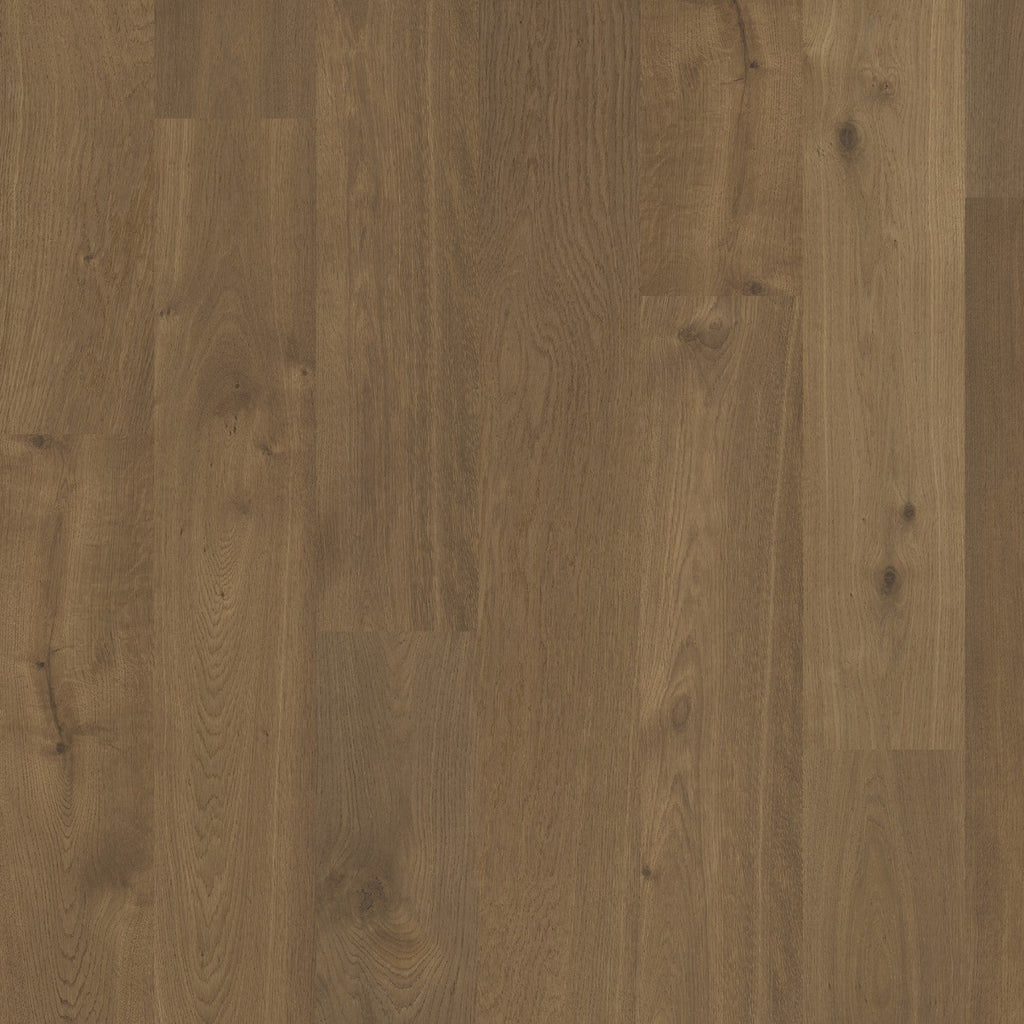 Terra Collection - Alpine (Plank & Herringbone)