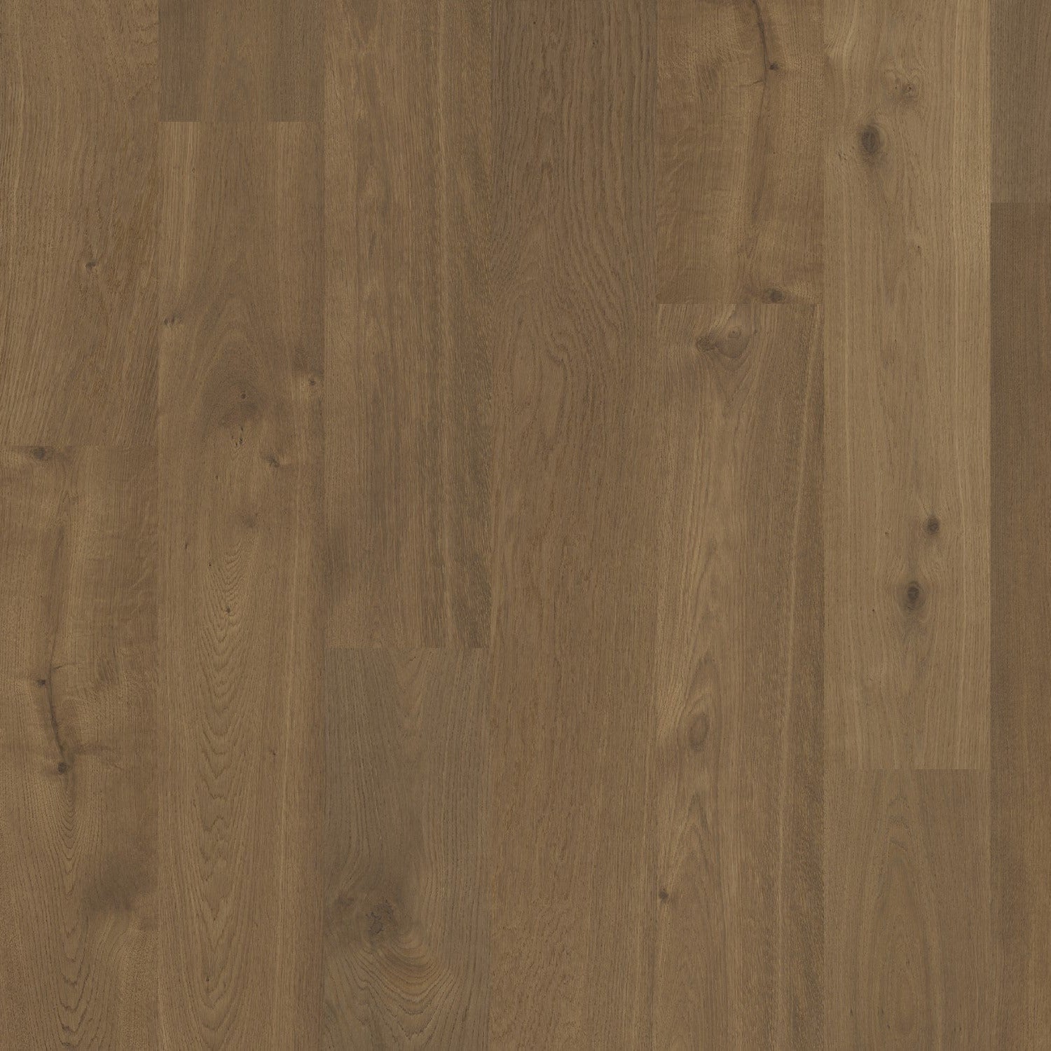 Terra Collection - Alpine (Plank & Herringbone)