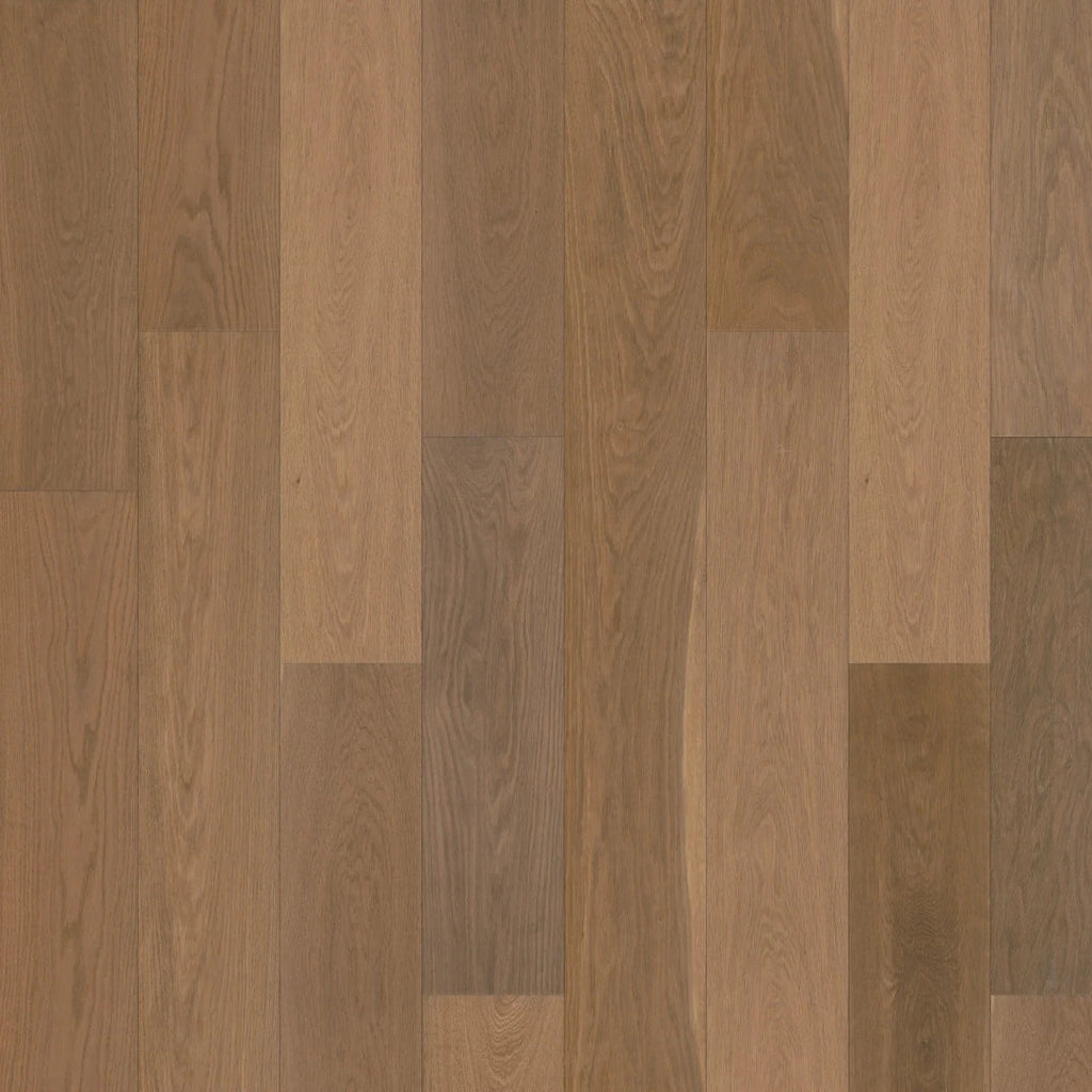 Duchateau Vernal Collection Belvedere color