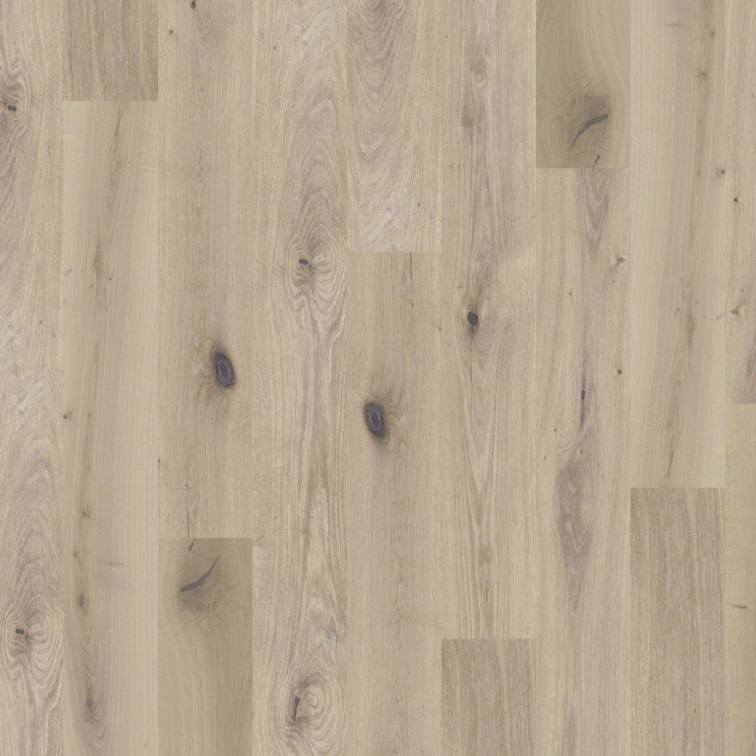 Flooring Global Winds Collection Chinook hardwood with a mix of warm and cool brown tones.