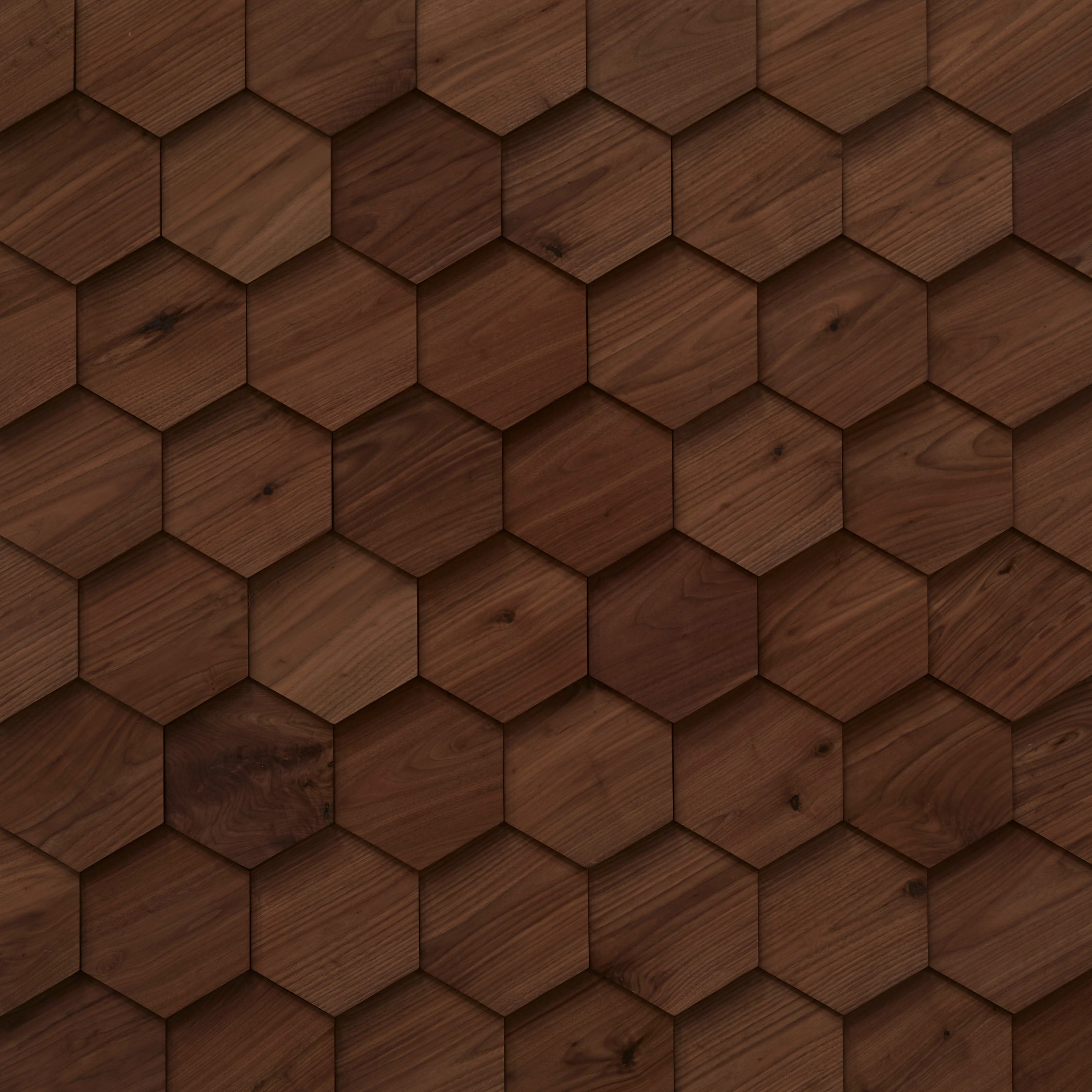 Celestio Legno - Hexo