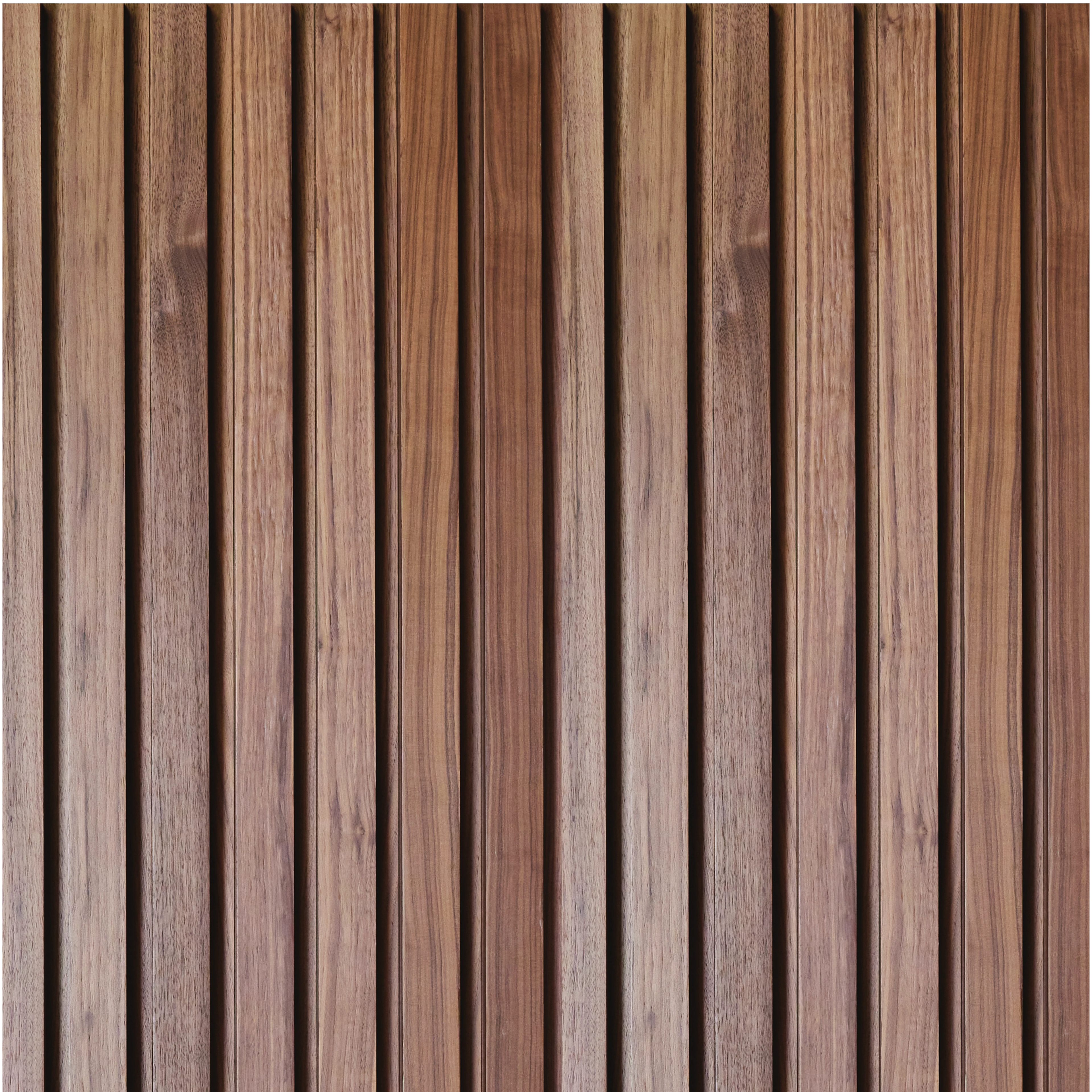 Ligne - Raw Walnut