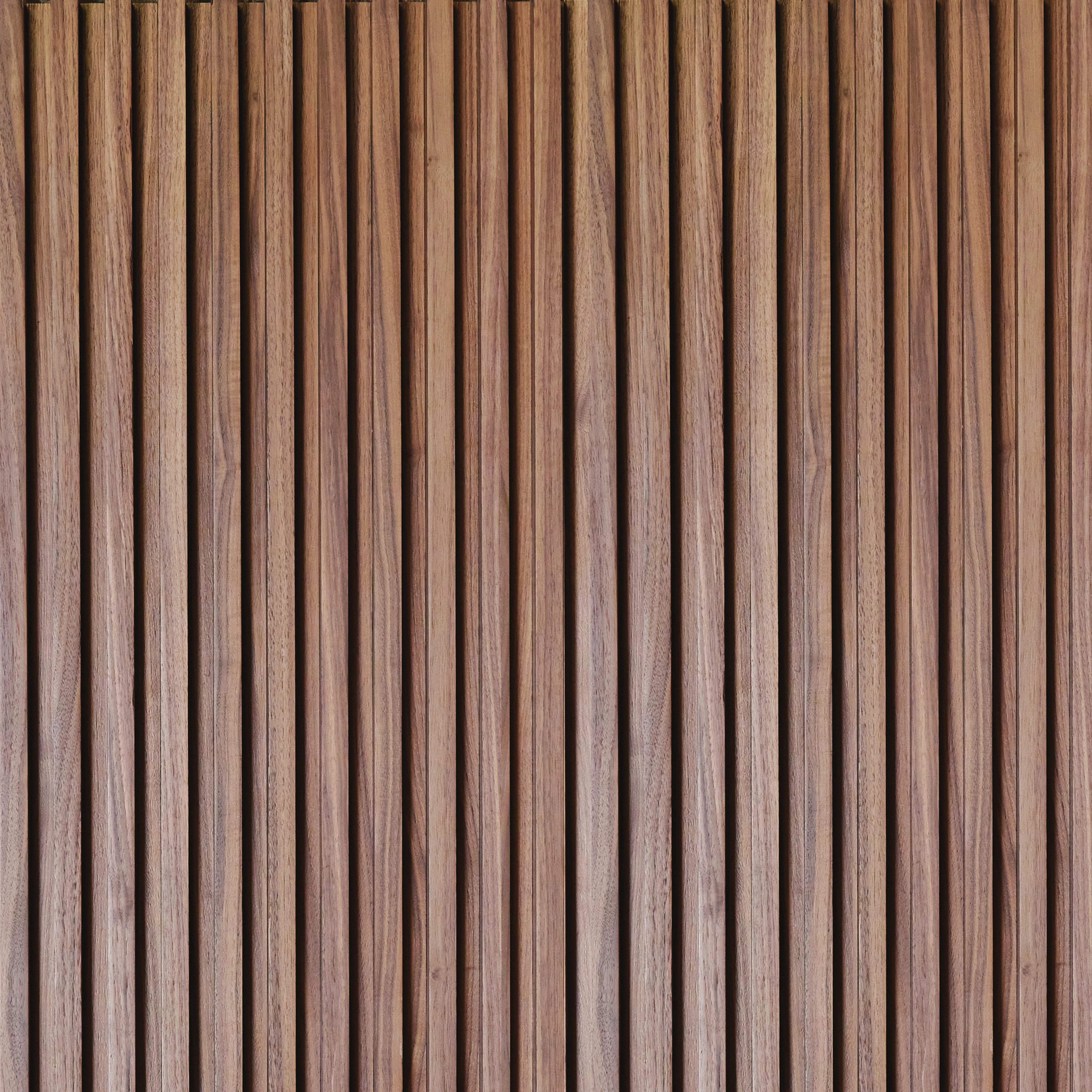 Ligne - Raw Walnut