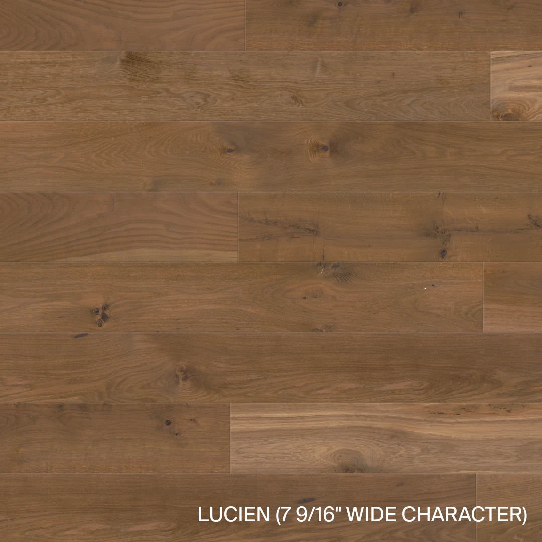 L'Arbois - Lucien