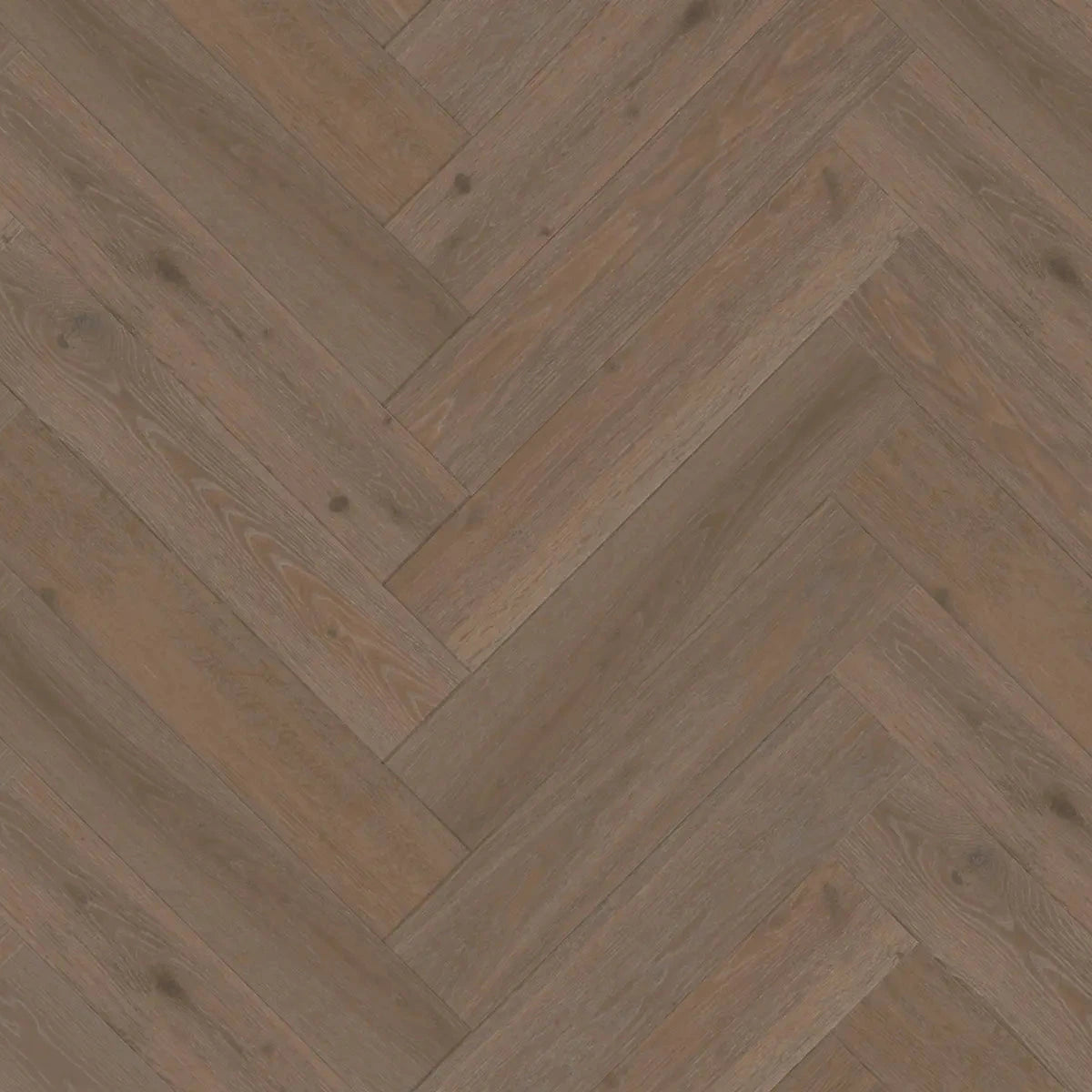 Terra Collection - Montane (Plank & Herringbone)
