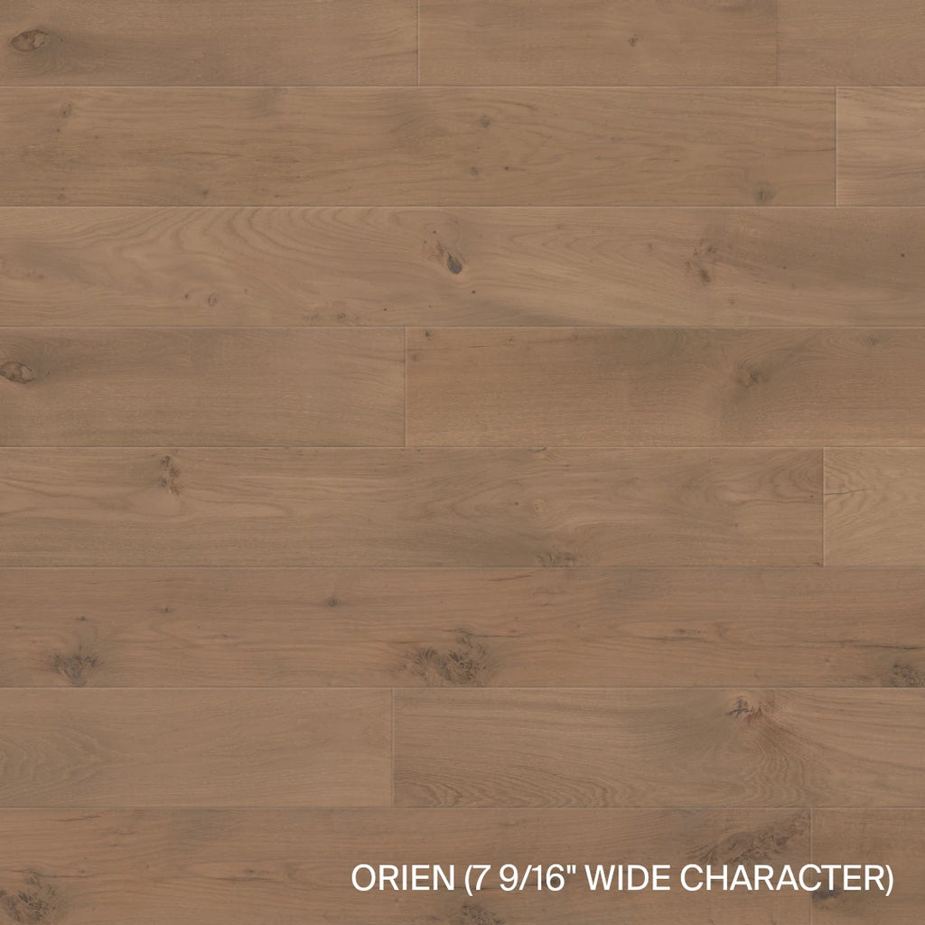 L'Arbois - Orien