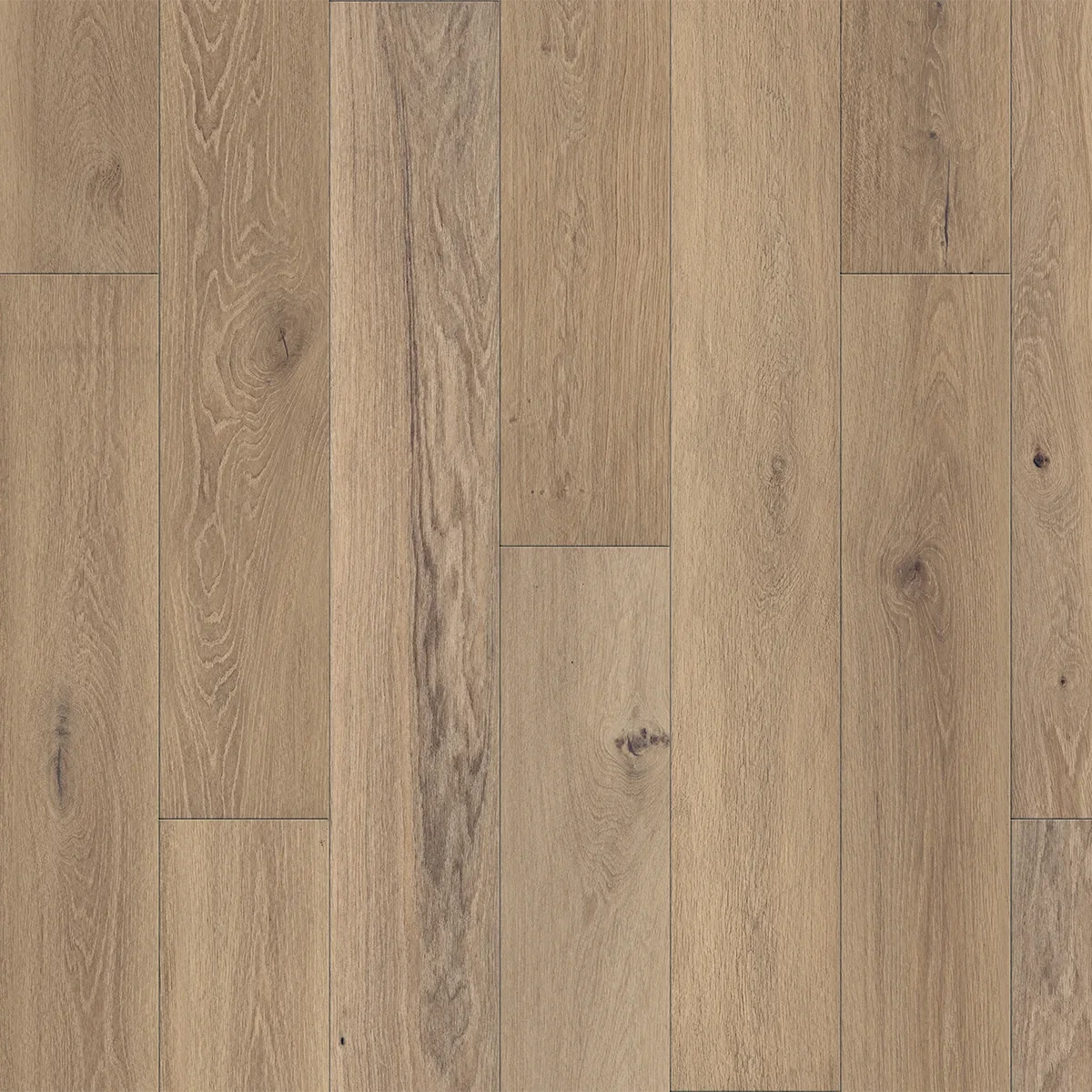 Vinyl Flooring Portfolio Collection Clavon Color Swatch