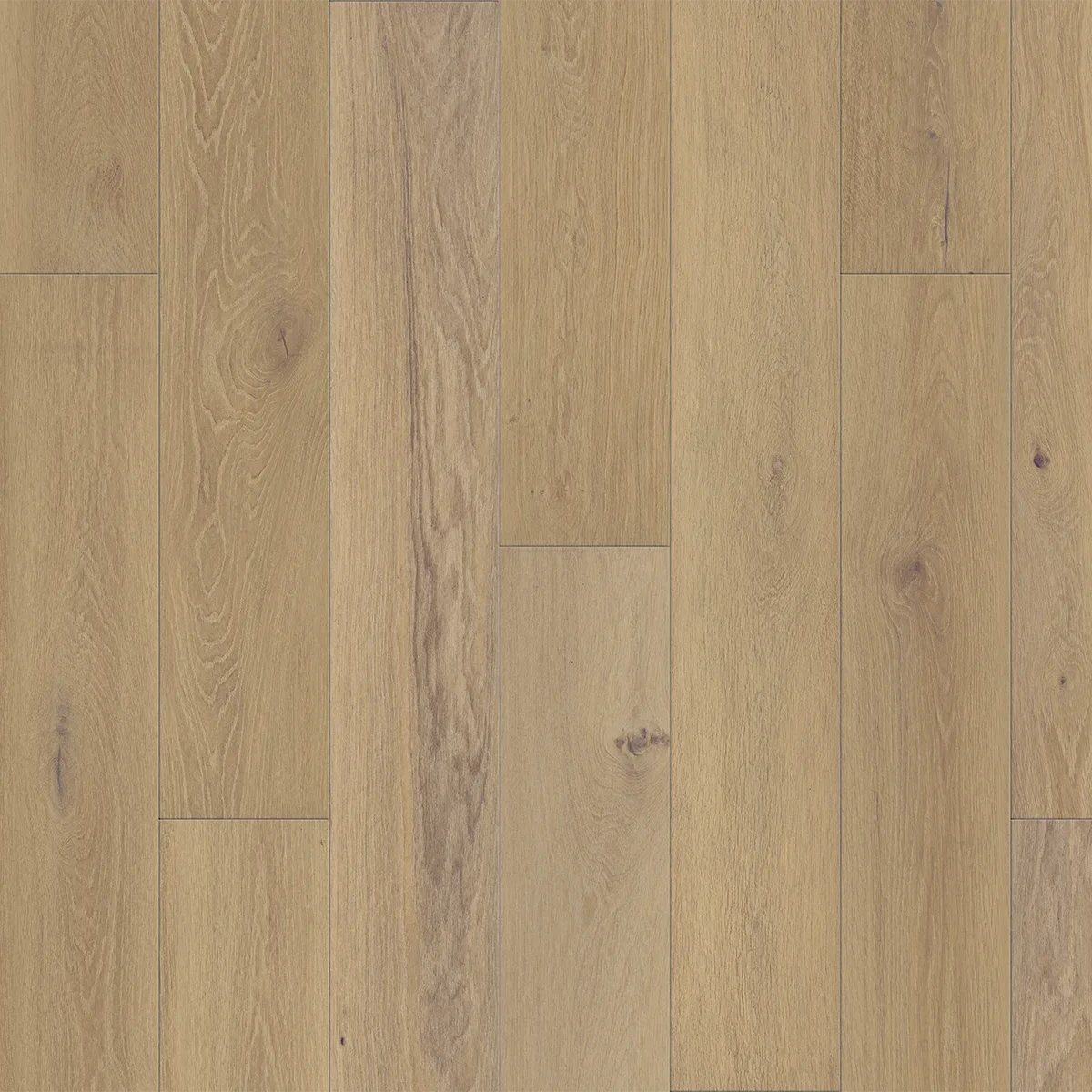 Vinyl Flooring Portfolio Collection Solenne Color Swatch