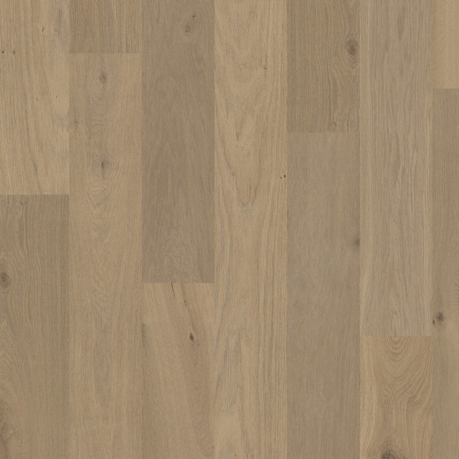 Terra Collection - Savanna (Plank & Herringbone)