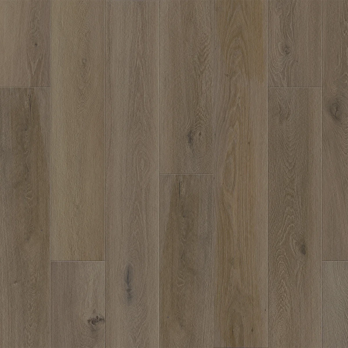 Vinyl Flooring Portfolio Collection Terre Color Swatch
