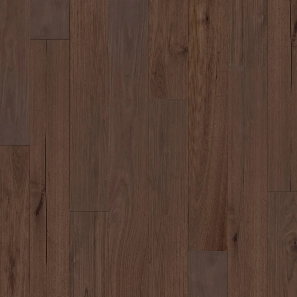Vernal - American Walnut